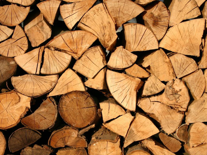 HVL Rauh Holzbrennstoffe Brennholz